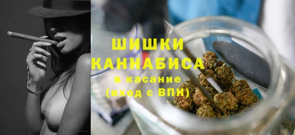мдма Ельня