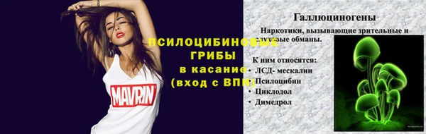 mdma Елизово