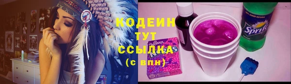 мдма Ельня