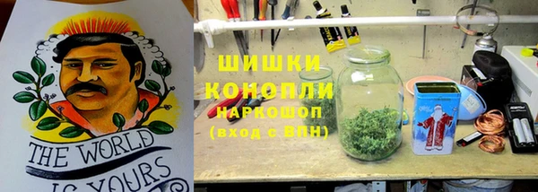 мдма Ельня