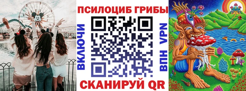 продажа наркотиков  Инза  Галлюциногенные грибы Psilocybe 
